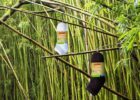 The benefits of bamboo socks Logo