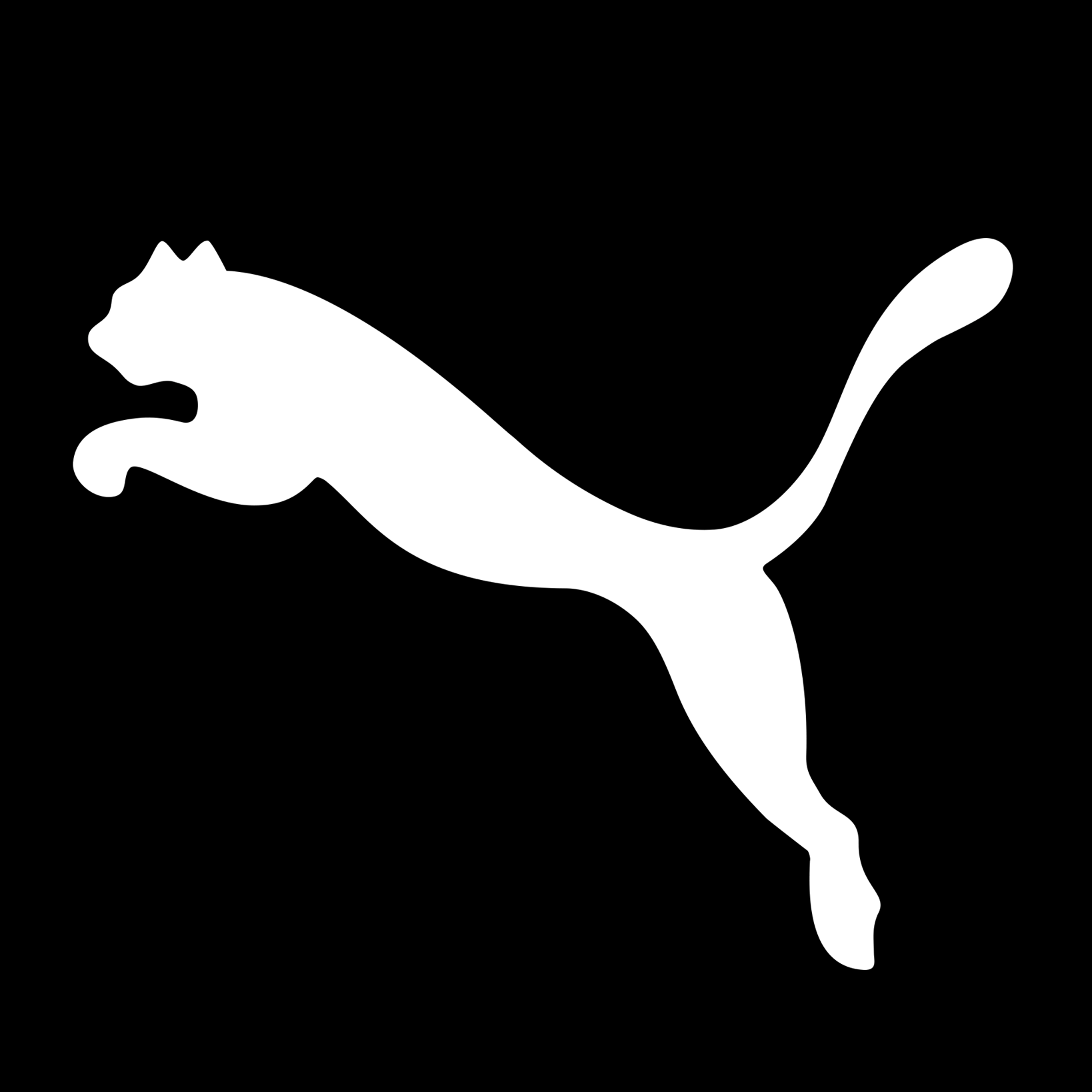 Puma Logo