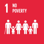 No Poverty Logo