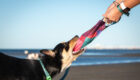 Eat, sleep and play sustainably with your dog Logo