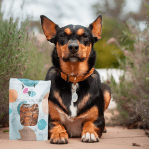 Doggy Nourish Single Protein Dog Treats Logo