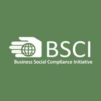 Business Social Compliance Initiative Logo