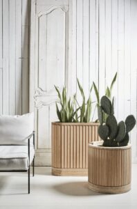 Bamboo Planters and Screens Logo