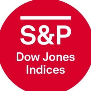 Dow Jones Sustainability World Index Logo