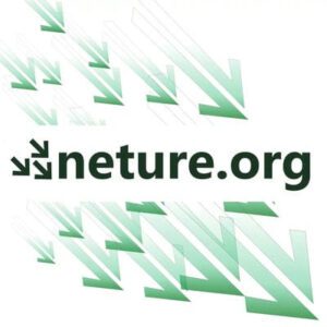 Green hosting transfer Logo