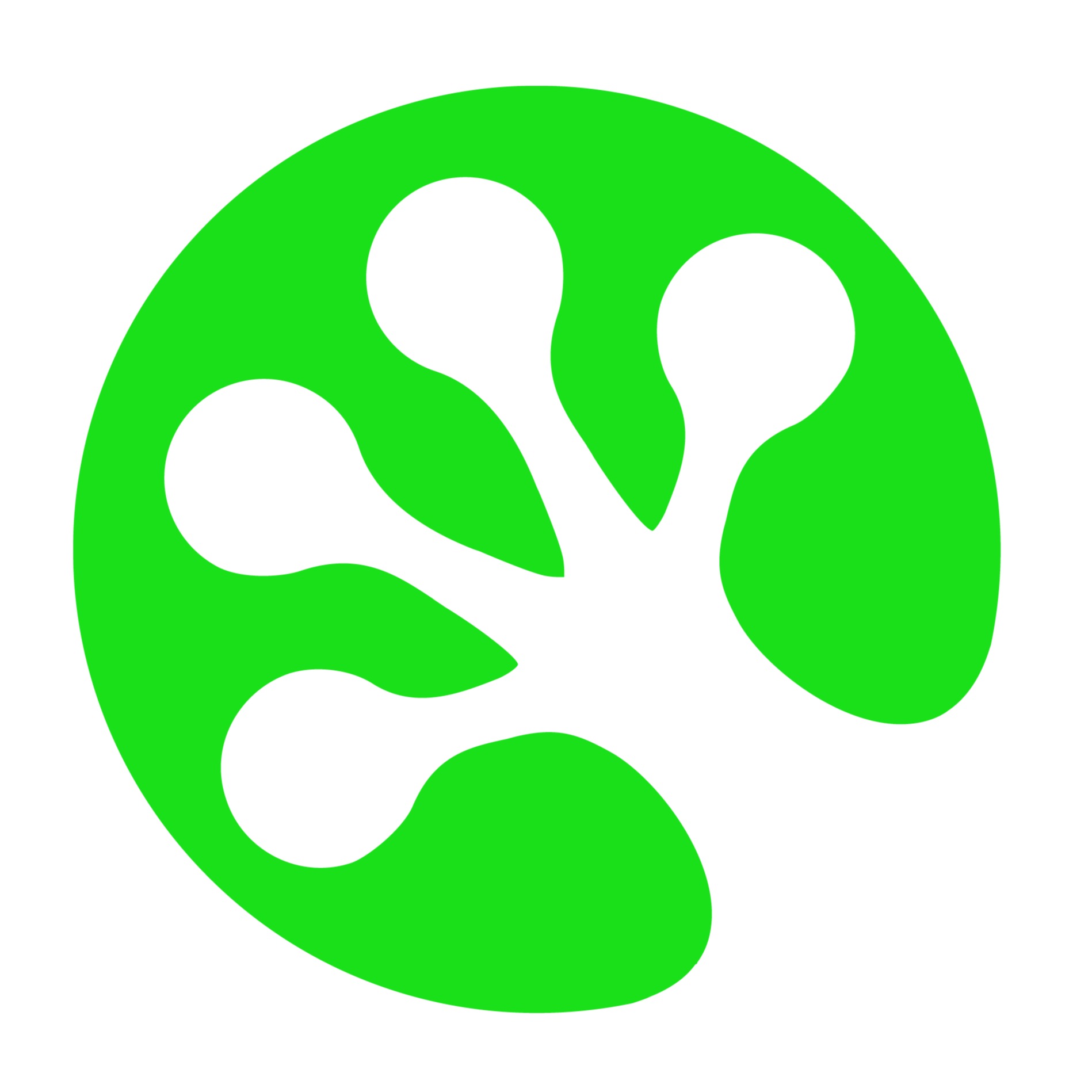 LeapFrogger Logo