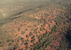 Ecologists discover rare marsupial at threatened ecological site in Western Australia Logo