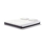 TEMPUR Pro Adapt Mattress Logo