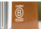 The Value of B Corp Certification Logo