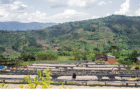 Sustainable Coffee: It's more than compostable packaging Logo